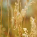 無人ストリートスナップ写真　茨城県　龍ケ崎市　2026年02月19日　#ストリートスナップ　#streetsnap　#AIphoto　　　